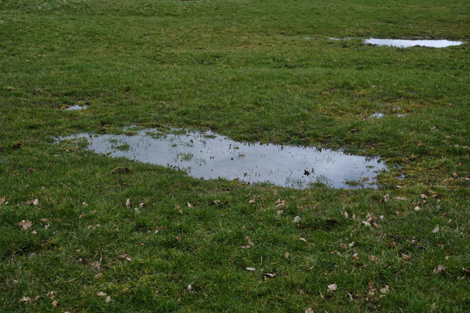 Standing water pooled across a grassy landscape