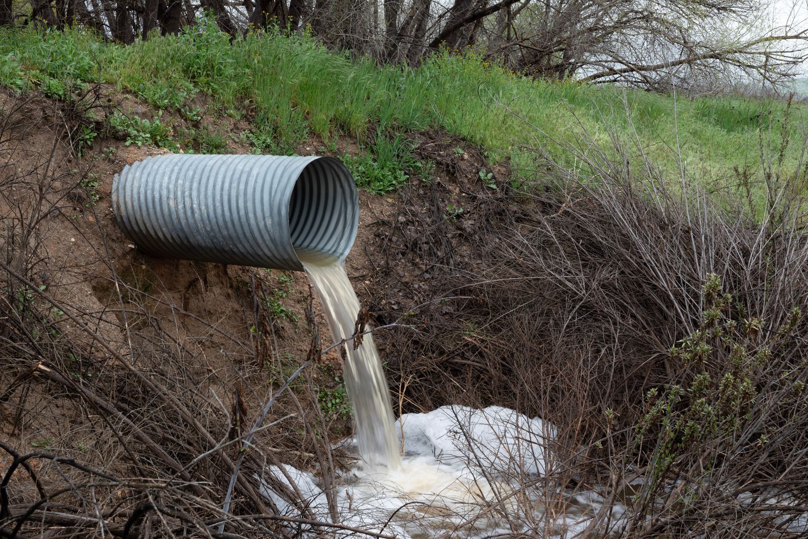 Drainage pipe carrying runoff toward a vegetated outlet